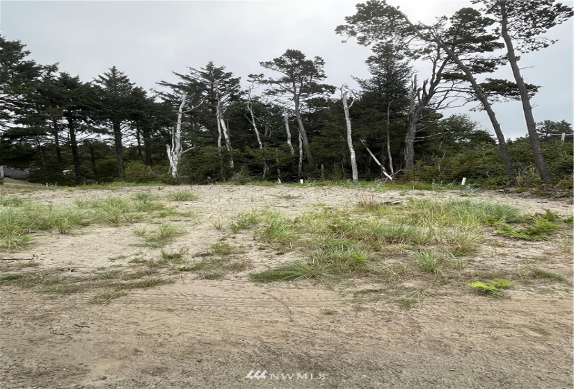 32202 J, Ocean Park, Washington 98640, ,Land,For Sale,Surfside estates,J,NWM1824578