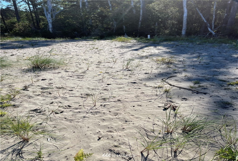 32202 J, Ocean Park, Washington 98640, ,Land,For Sale,Surfside estates,J,NWM1824578