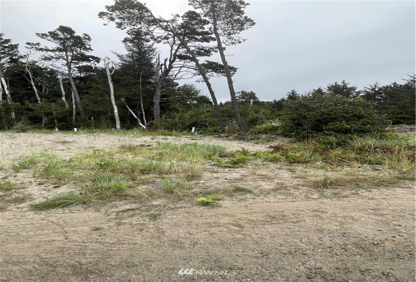 32202 J, Ocean Park, Washington 98640, ,Land,For Sale,Surfside estates,J,NWM1824578