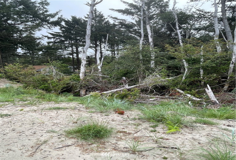 32202 J, Ocean Park, Washington 98640, ,Land,For Sale,Surfside estates,J,NWM1824578