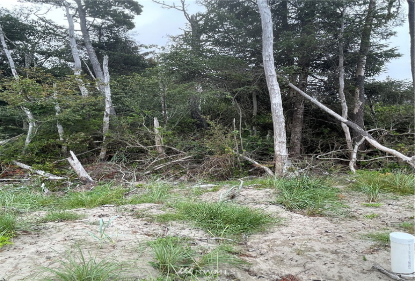 32202 J, Ocean Park, Washington 98640, ,Land,For Sale,Surfside estates,J,NWM1824578