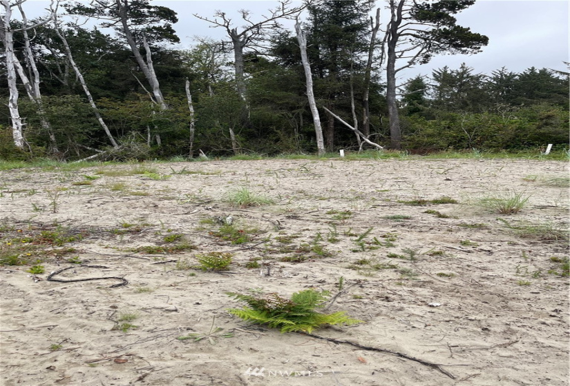 32202 J, Ocean Park, Washington 98640, ,Land,For Sale,Surfside estates,J,NWM1824578