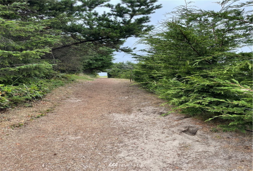 32202 J, Ocean Park, Washington 98640, ,Land,For Sale,Surfside estates,J,NWM1824578