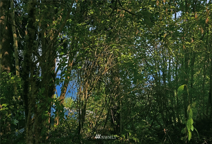 0 X Lot C NE Amhurst, Poulsbo, Washington 98370, ,Land,For Sale,Lot C NE Amhurst,NWM1822125