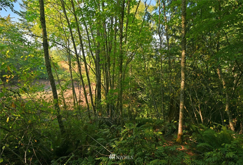 0 X Lot C NE Amhurst, Poulsbo, Washington 98370, ,Land,For Sale,Lot C NE Amhurst,NWM1822125