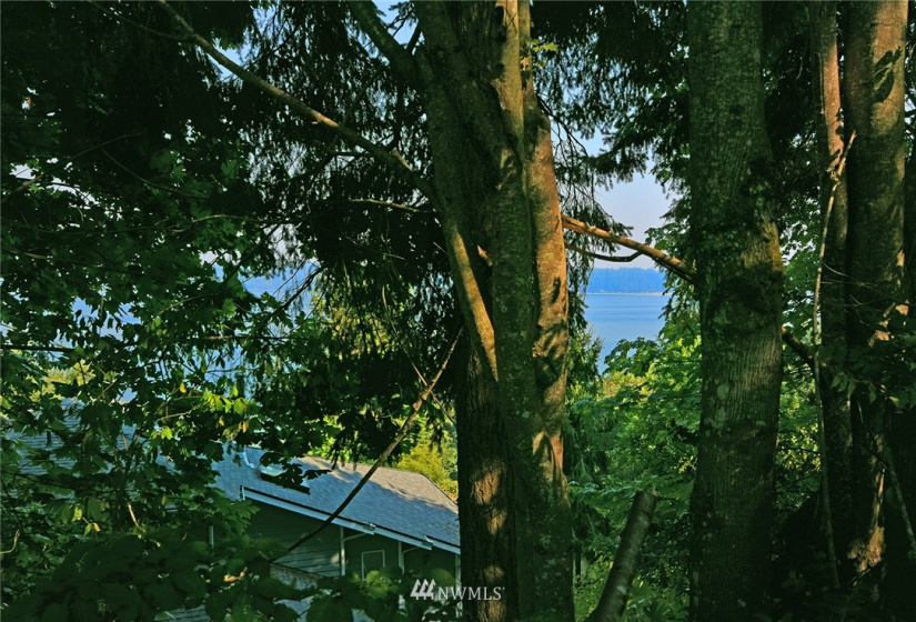 0 X Lot C NE Amhurst, Poulsbo, Washington 98370, ,Land,For Sale,Lot C NE Amhurst,NWM1822125