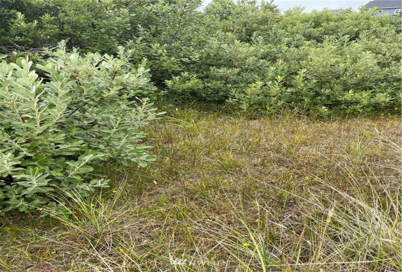 1435 KAILUA, Ocean Shores, Washington 98596, ,Land,For Sale,KAILUA,NWM1823483