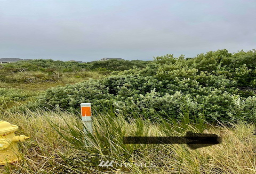 1435 KAILUA, Ocean Shores, Washington 98596, ,Land,For Sale,KAILUA,NWM1823483