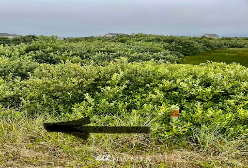 1435 KAILUA, Ocean Shores, Washington 98596, ,Land,For Sale,KAILUA,NWM1823483