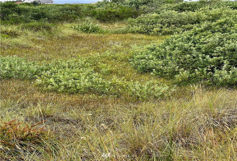 1435 KAILUA, Ocean Shores, Washington 98596, ,Land,For Sale,KAILUA,NWM1823483