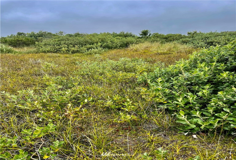 1435 KAILUA, Ocean Shores, Washington 98596, ,Land,For Sale,KAILUA,NWM1823483