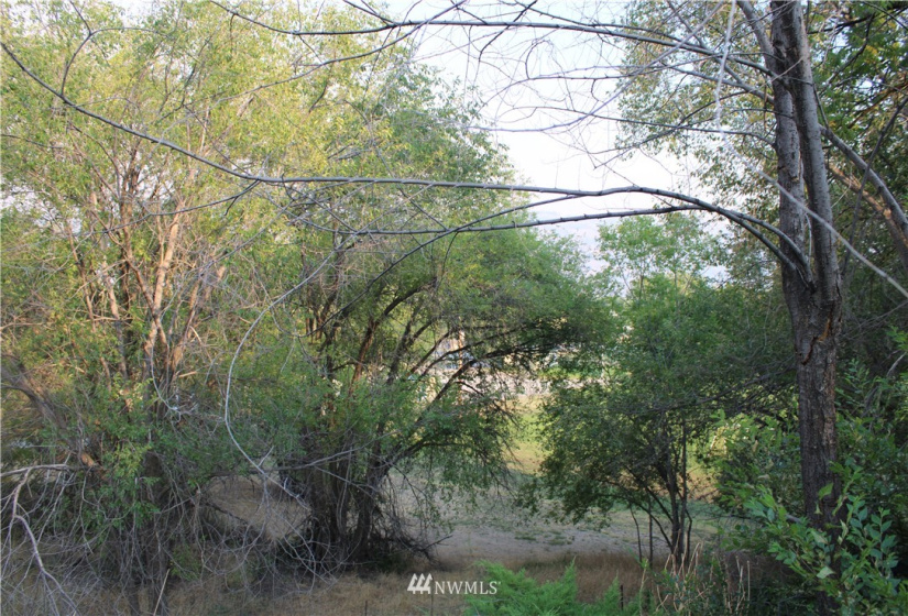 1803 Juniper, Oroville, Washington 98844, 5 Bedrooms Bedrooms, ,3 BathroomsBathrooms,Residential,For Sale,Juniper,NWM1824914