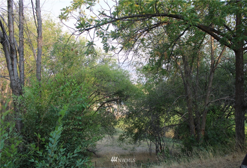 1803 Juniper, Oroville, Washington 98844, 5 Bedrooms Bedrooms, ,3 BathroomsBathrooms,Residential,For Sale,Juniper,NWM1824914