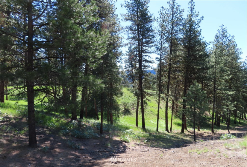 0 TBD Keller, Republic, Washington 99166, ,Land,For Sale,Keller,NWM1824699