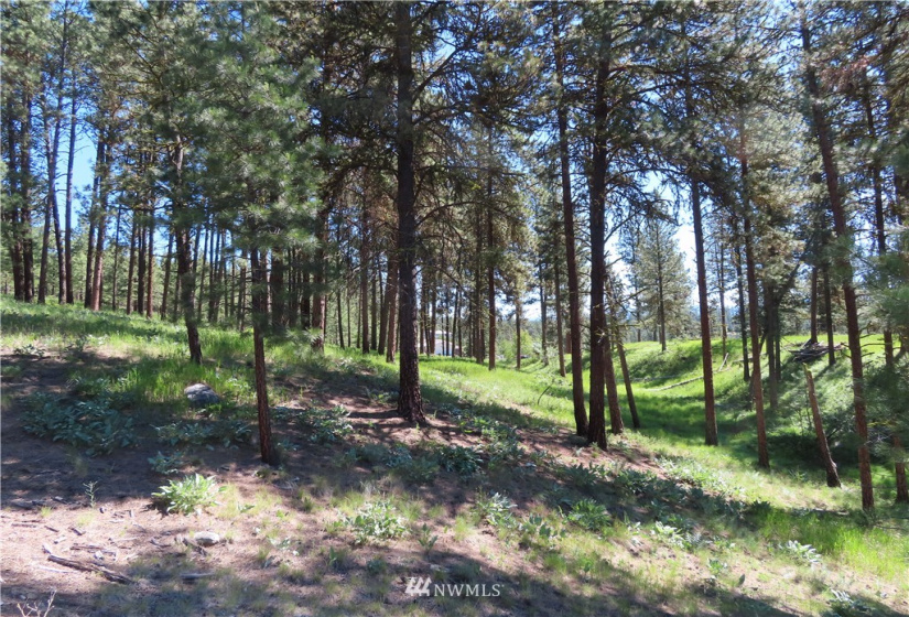 0 TBD Keller, Republic, Washington 99166, ,Land,For Sale,Keller,NWM1824699