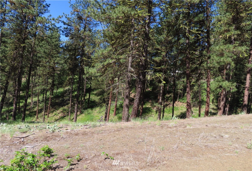 0 TBD Keller, Republic, Washington 99166, ,Land,For Sale,Keller,NWM1824699