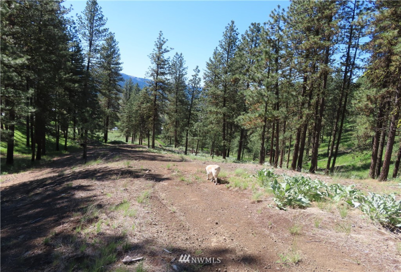 0 TBD Keller, Republic, Washington 99166, ,Land,For Sale,Keller,NWM1824699