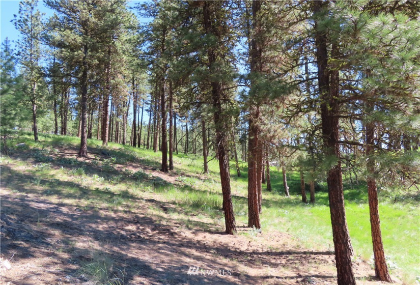 0 TBD Keller, Republic, Washington 99166, ,Land,For Sale,Keller,NWM1824699