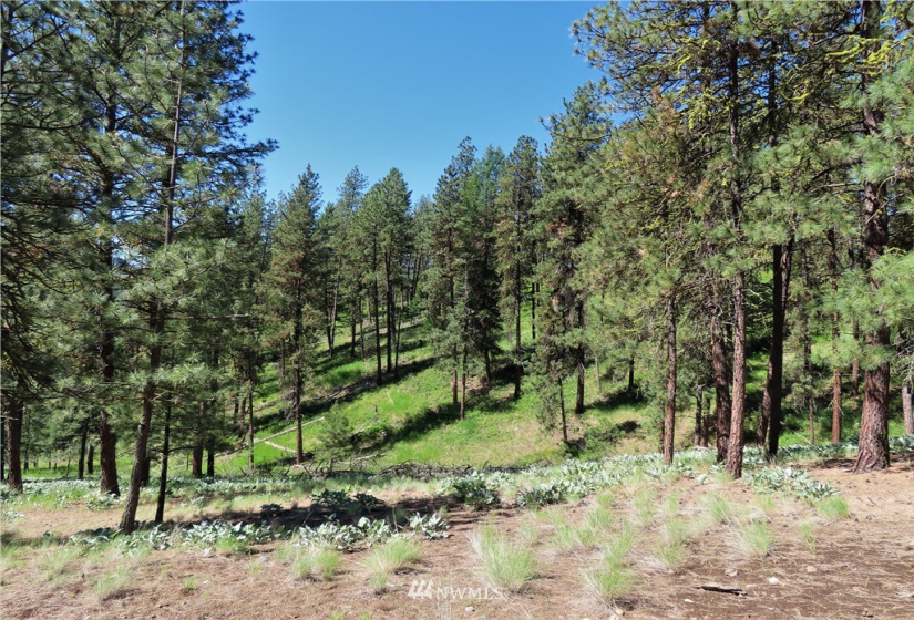 0 TBD Keller, Republic, Washington 99166, ,Land,For Sale,Keller,NWM1824699