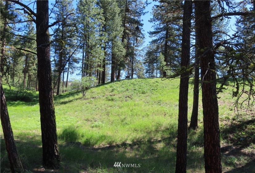 0 TBD Keller, Republic, Washington 99166, ,Land,For Sale,Keller,NWM1824699