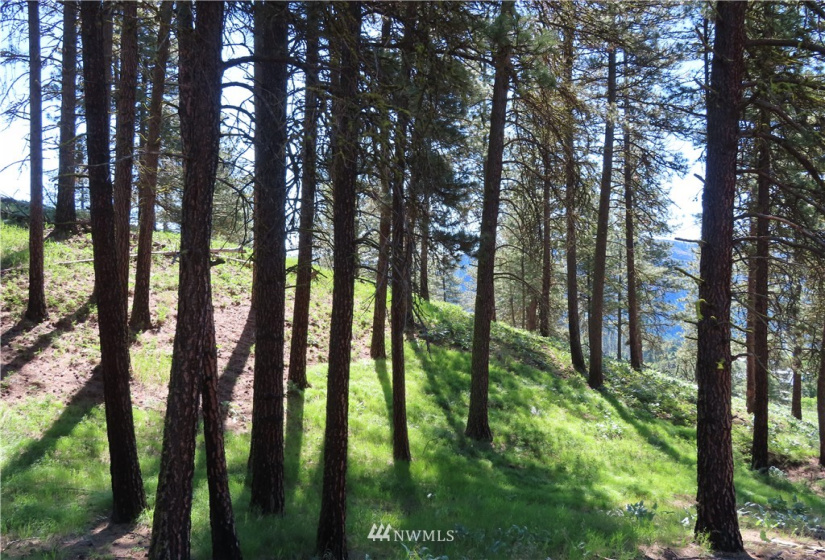 0 TBD Keller, Republic, Washington 99166, ,Land,For Sale,Keller,NWM1824699