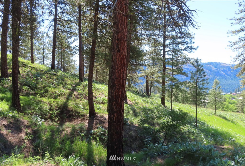 0 TBD Keller, Republic, Washington 99166, ,Land,For Sale,Keller,NWM1824699