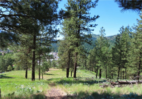 0 TBD Keller, Republic, Washington 99166, ,Land,For Sale,Keller,NWM1824699