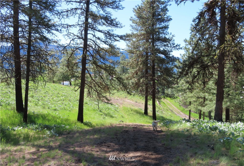 0 TBD Keller, Republic, Washington 99166, ,Land,For Sale,Keller,NWM1824699