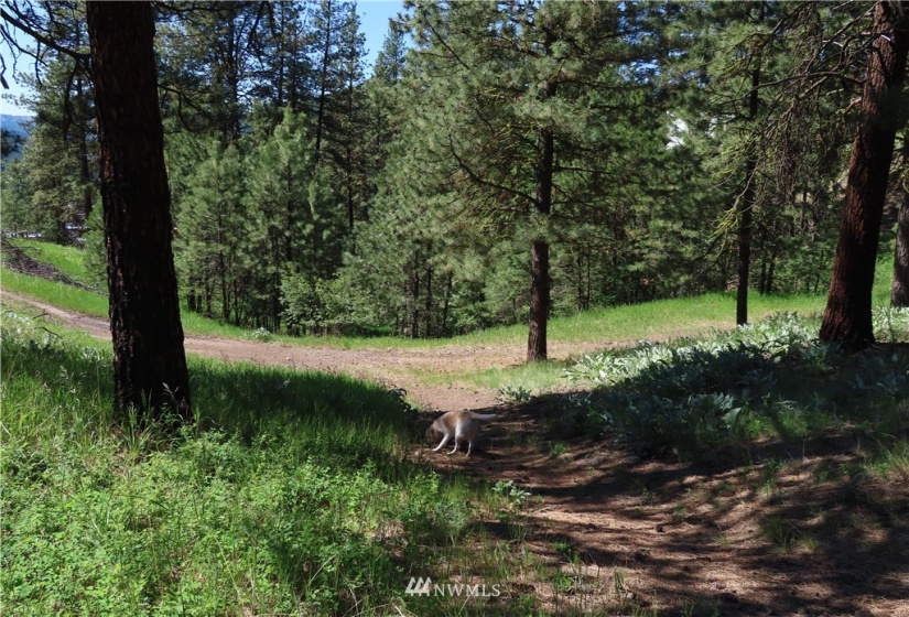 0 TBD Keller, Republic, Washington 99166, ,Land,For Sale,Keller,NWM1824699