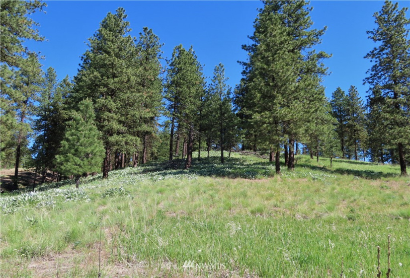 0 TBD Keller, Republic, Washington 99166, ,Land,For Sale,Keller,NWM1824699