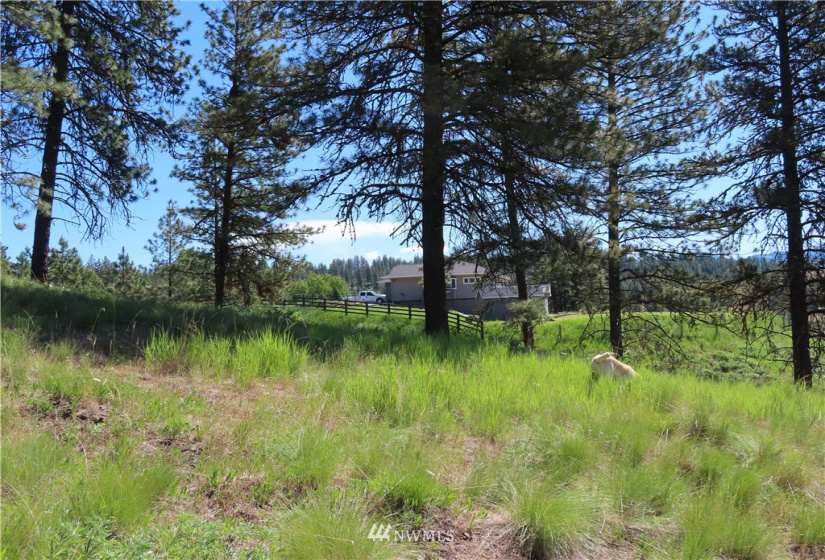 0 TBD Keller, Republic, Washington 99166, ,Land,For Sale,Keller,NWM1824699