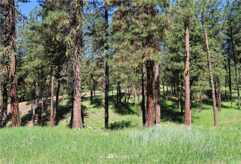 0 TBD Keller, Republic, Washington 99166, ,Land,For Sale,Keller,NWM1824699