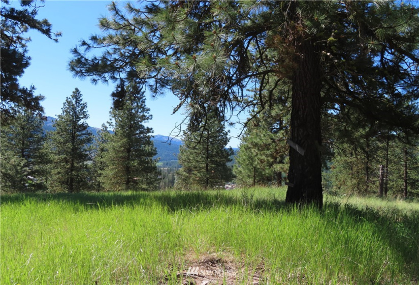 0 TBD Keller, Republic, Washington 99166, ,Land,For Sale,Keller,NWM1824699