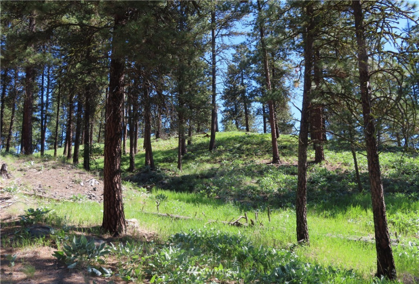 0 TBD Keller, Republic, Washington 99166, ,Land,For Sale,Keller,NWM1824699