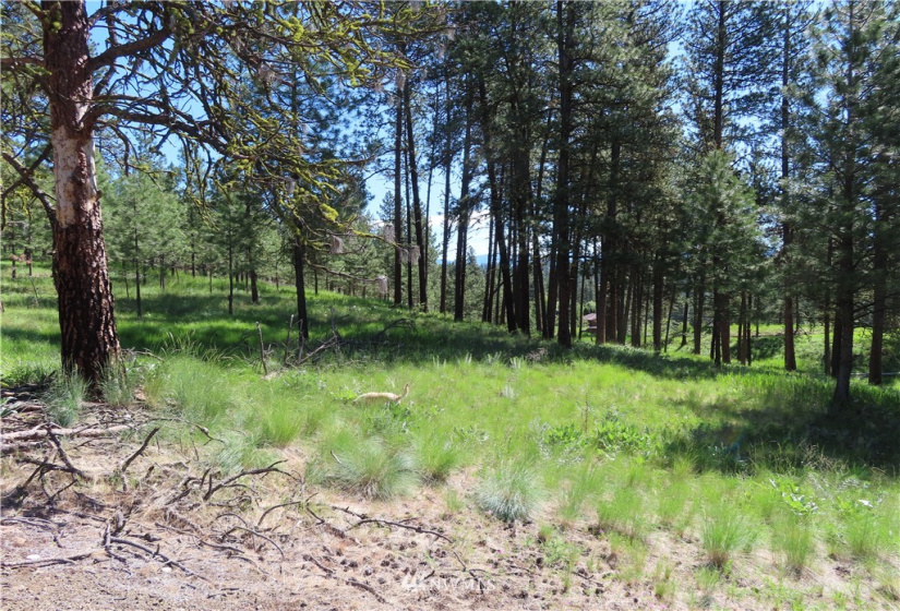 0 TBD Keller, Republic, Washington 99166, ,Land,For Sale,Keller,NWM1824699