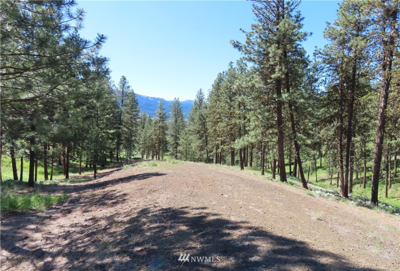 0 TBD Keller, Republic, Washington 99166, ,Land,For Sale,Keller,NWM1824699