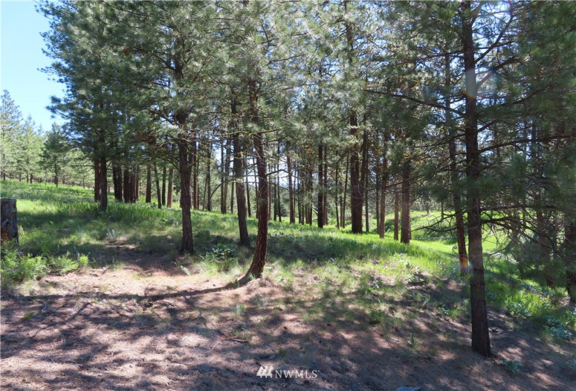 0 TBD Keller, Republic, Washington 99166, ,Land,For Sale,Keller,NWM1824699