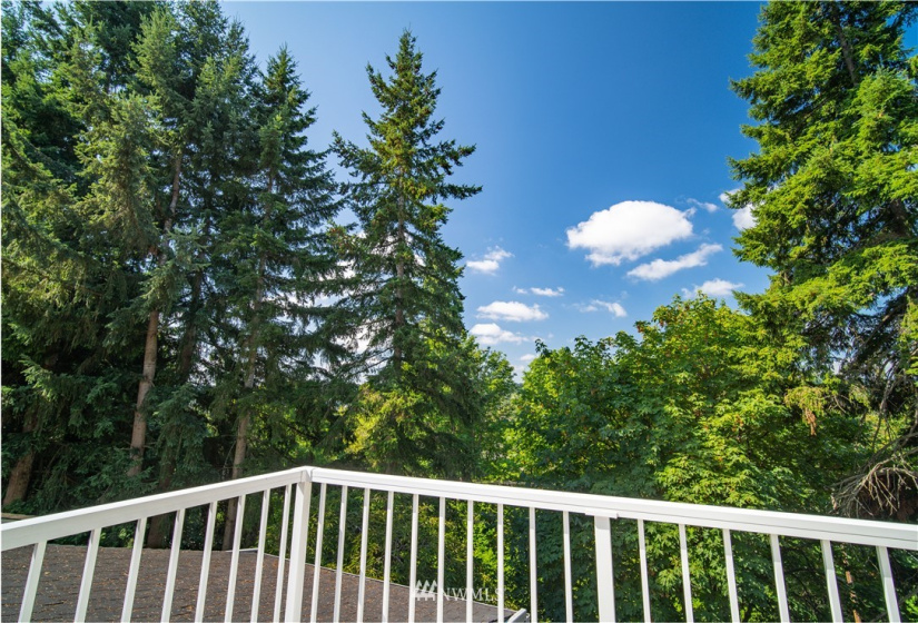 9474 Redmond Woodinville, Redmond, Washington 98052, 2 Bedrooms Bedrooms, ,1 BathroomBathrooms,Residential,For Sale,The Redwoods,Redmond Woodinville,NWM1823873