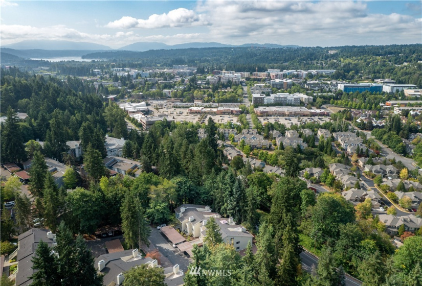 9474 Redmond Woodinville, Redmond, Washington 98052, 2 Bedrooms Bedrooms, ,1 BathroomBathrooms,Residential,For Sale,The Redwoods,Redmond Woodinville,NWM1823873