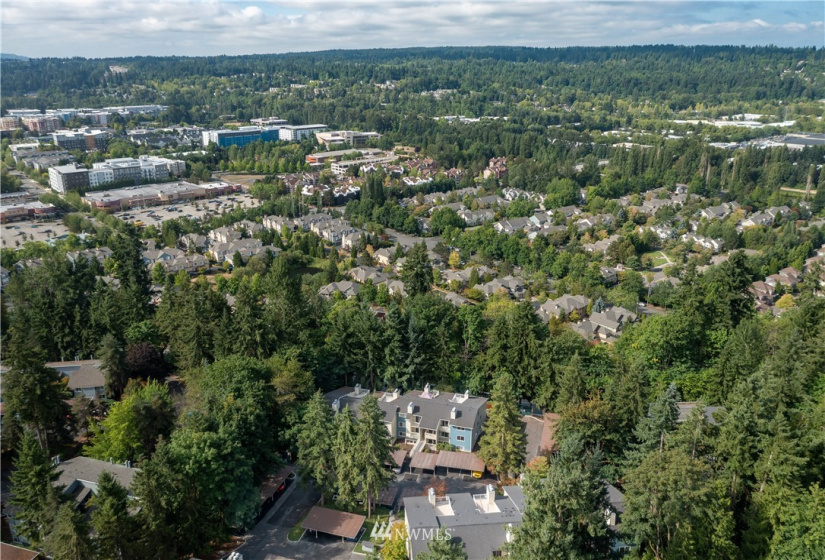 9474 Redmond Woodinville, Redmond, Washington 98052, 2 Bedrooms Bedrooms, ,1 BathroomBathrooms,Residential,For Sale,The Redwoods,Redmond Woodinville,NWM1823873