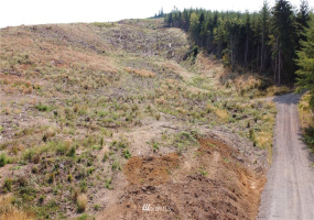 0 Goble Creek, Kelso, Washington 98626, ,Land,For Sale,Goble Creek,NWM1820302