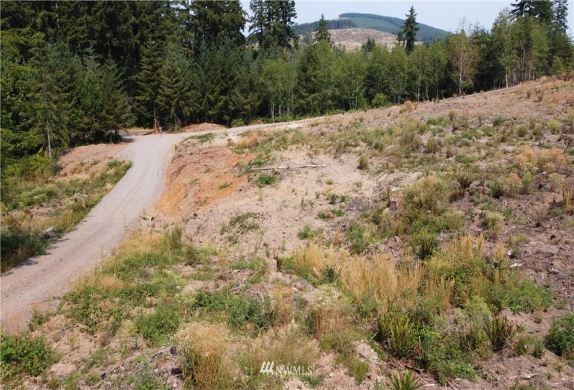 0 Goble Creek, Kelso, Washington 98626, ,Land,For Sale,Goble Creek,NWM1820302