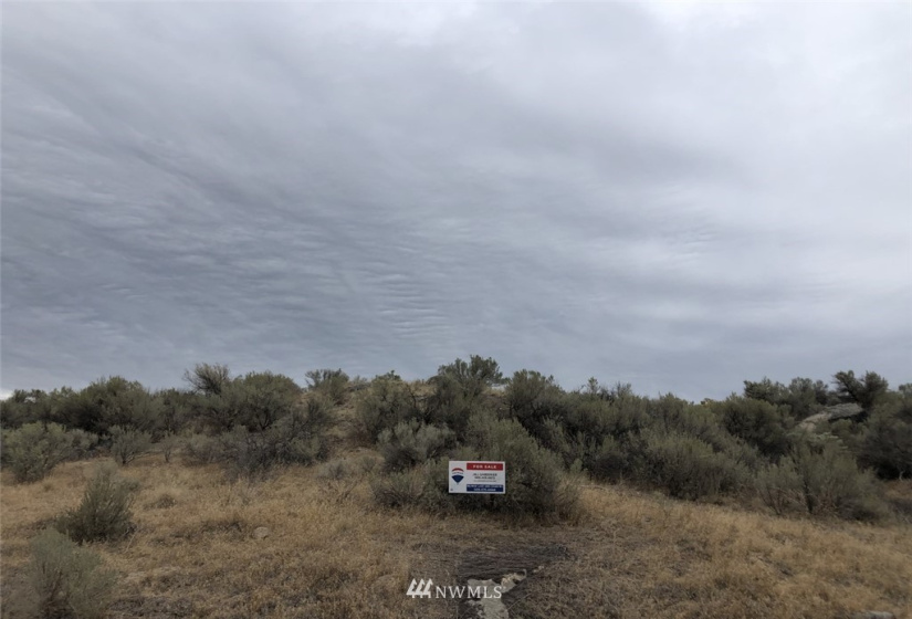 111 Round Up, Tonasket, Washington 98855, ,Land,For Sale,Round Up,NWM1824829