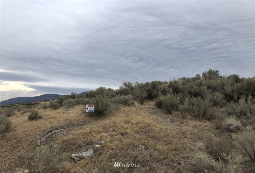 111 Round Up, Tonasket, Washington 98855, ,Land,For Sale,Round Up,NWM1824829