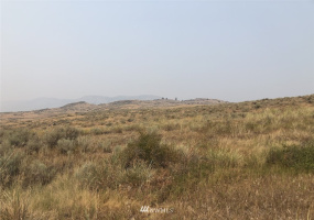 111 Round Up, Tonasket, Washington 98855, ,Land,For Sale,Round Up,NWM1824829