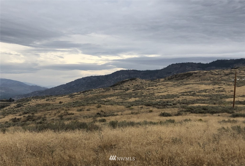111 Round Up, Tonasket, Washington 98855, ,Land,For Sale,Round Up,NWM1824829