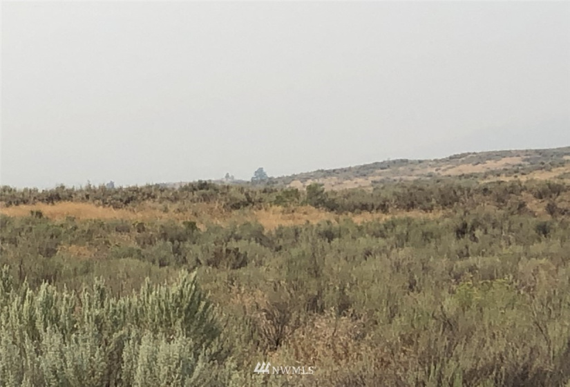111 Round Up, Tonasket, Washington 98855, ,Land,For Sale,Round Up,NWM1824829