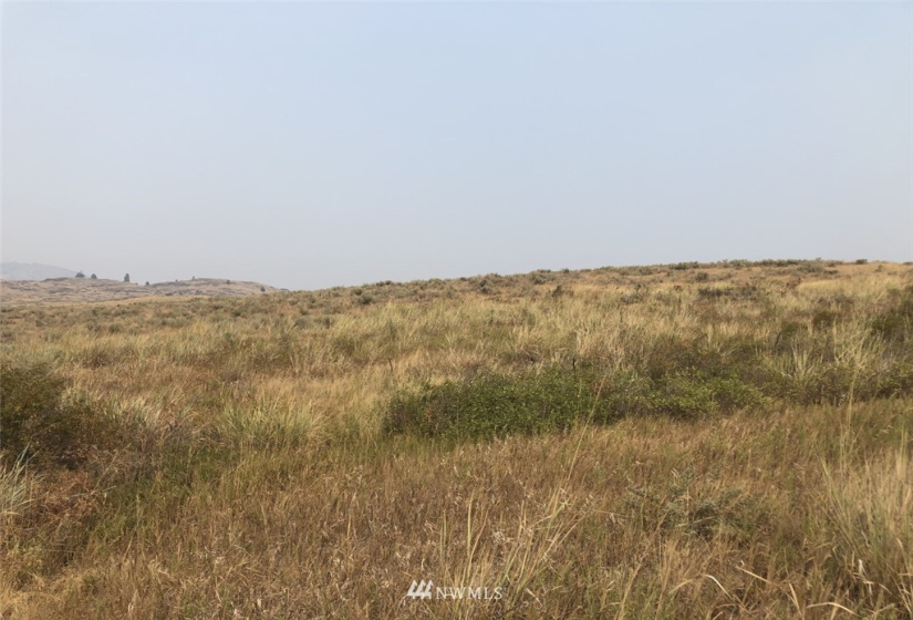 111 Round Up, Tonasket, Washington 98855, ,Land,For Sale,Round Up,NWM1824829