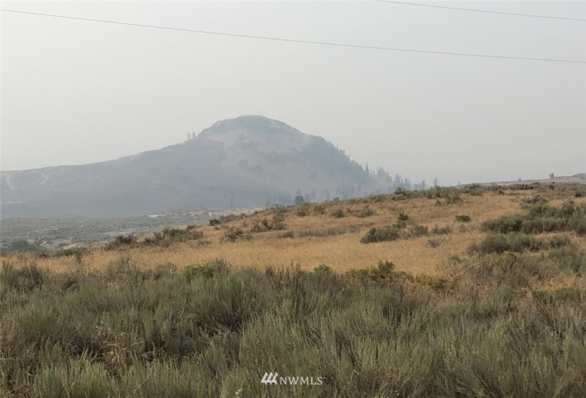 111 Round Up, Tonasket, Washington 98855, ,Land,For Sale,Round Up,NWM1824829