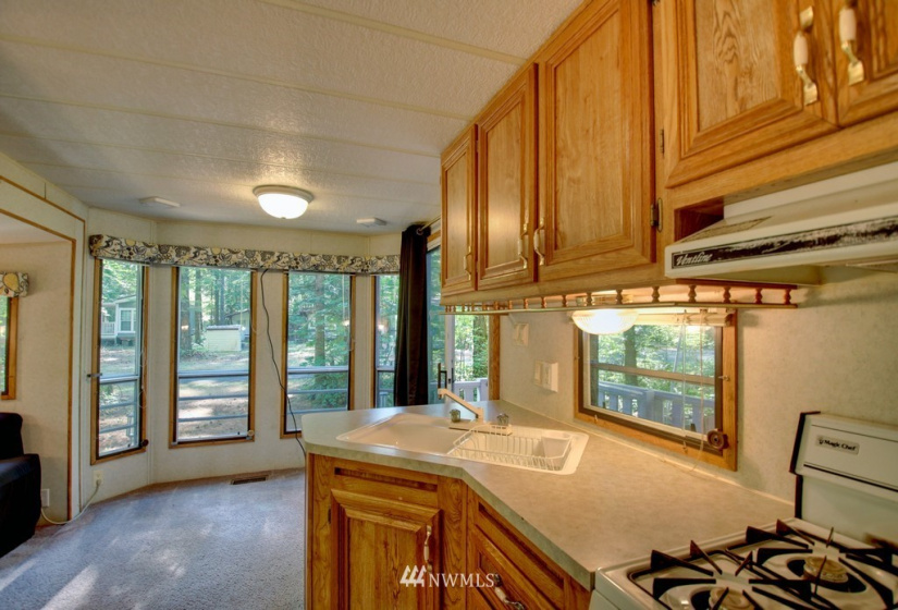 75 1 Goldrush, Deming, Washington 98244, 1 Bedroom Bedrooms, ,1 BathroomBathrooms,Residential,For Sale,Goldrush,NWM1825931